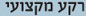 רקע מקצועי